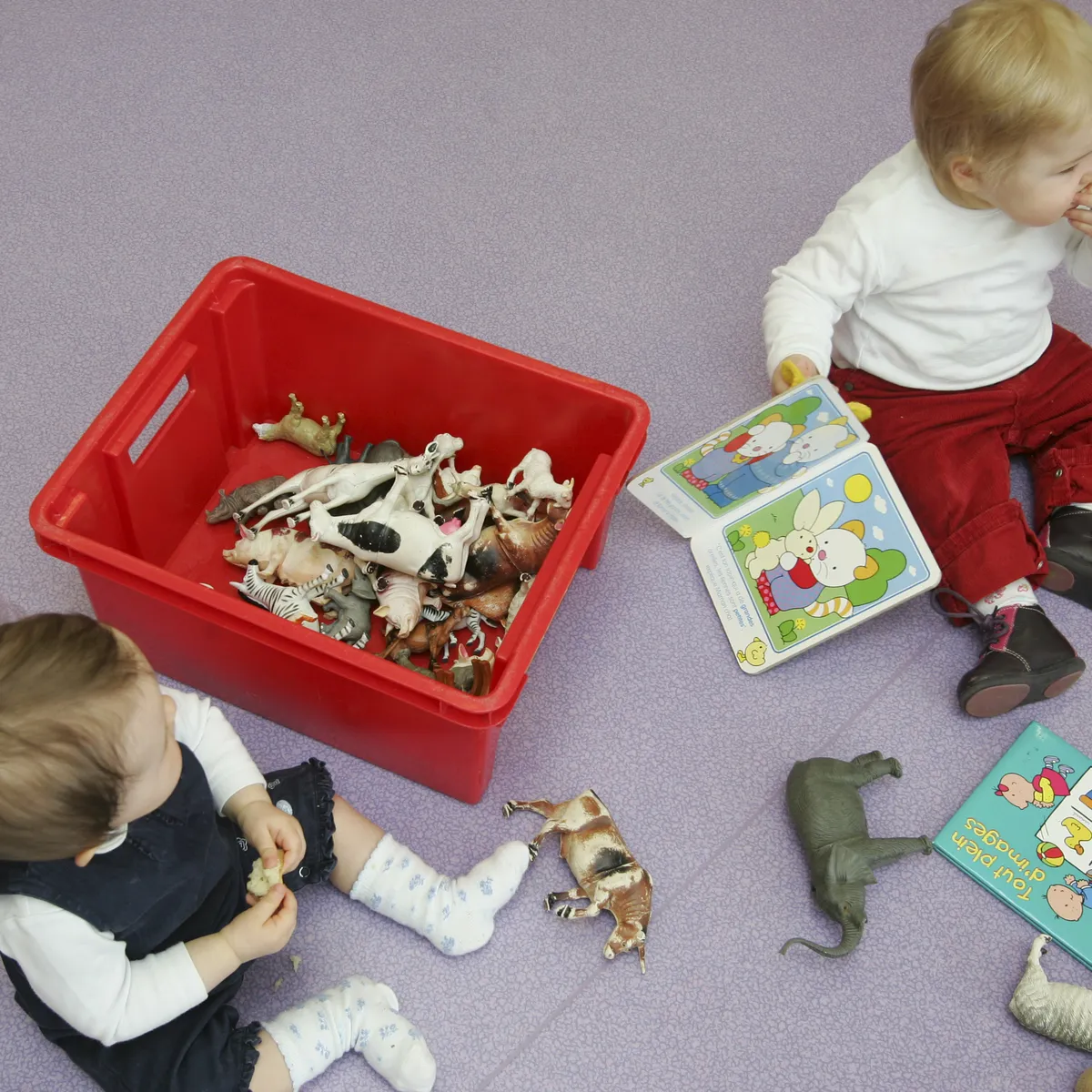 Smash Into Pieces Gains Popularity After Melodifestivalen Performances