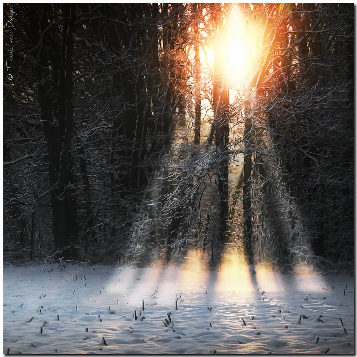 Early Spring Sweeps Sweden in 2026, Driven by Climate Change