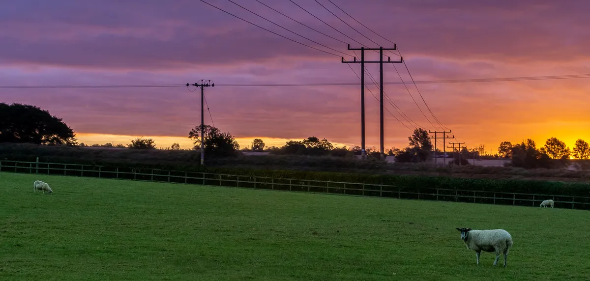 SHEEP-festivalen fyller Kil med ull och besökare