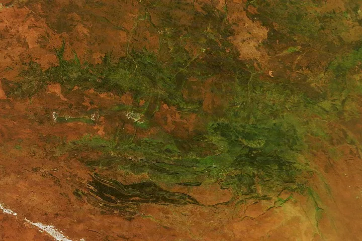 Heavy rainfall transforms Australia's Red Centre into lush green landscape