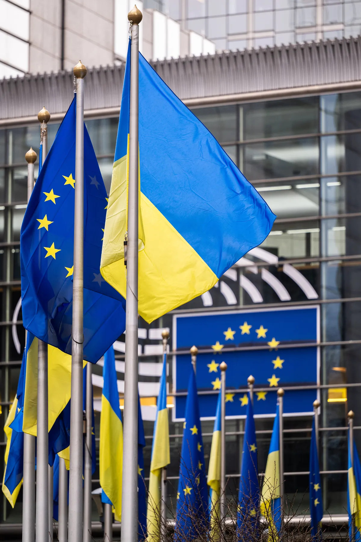 Anna Lebid Awarded for Helping Ukrainians Find Jobs in Jämtland