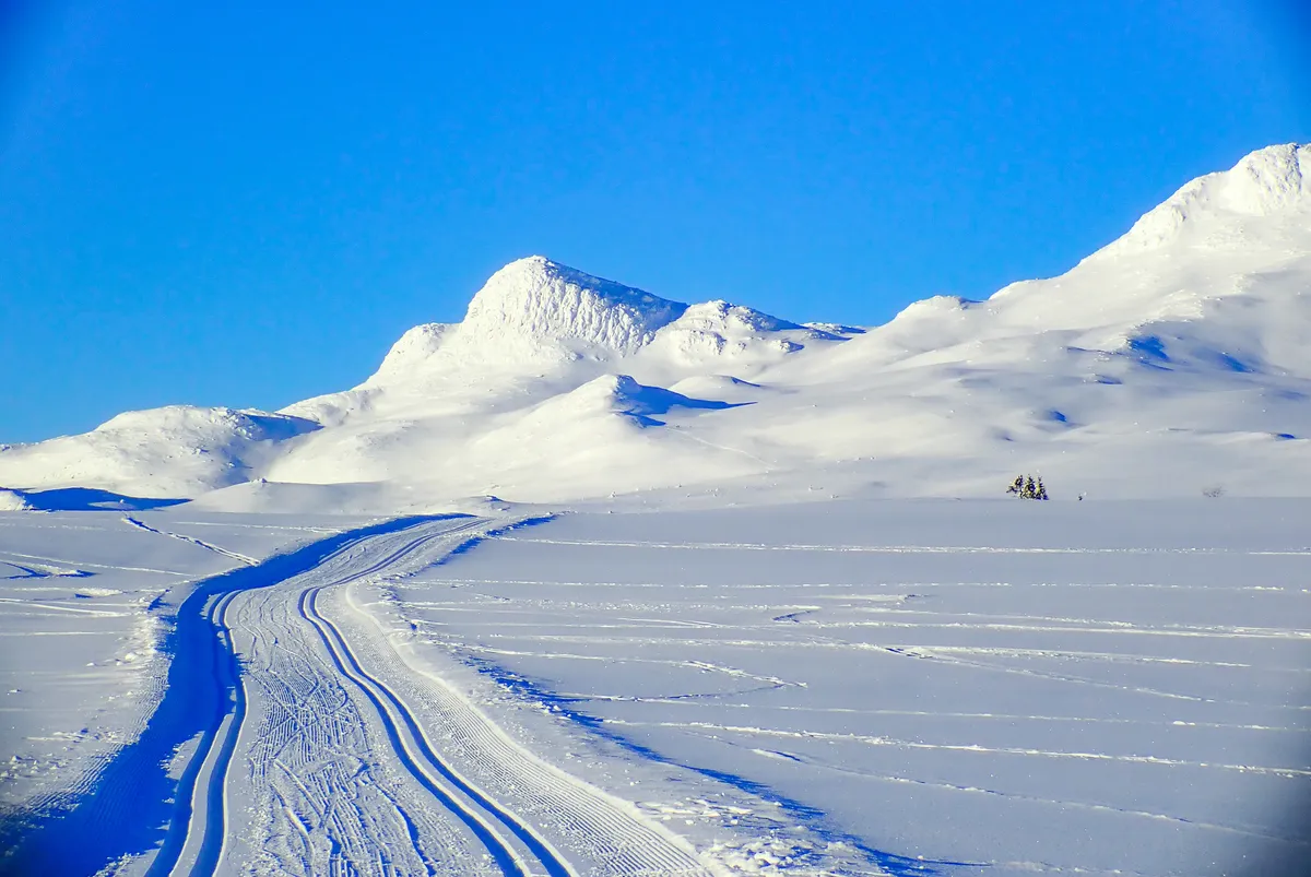 Norwegian skiers lead FIS prize earnings, Sevilla hires Garcia