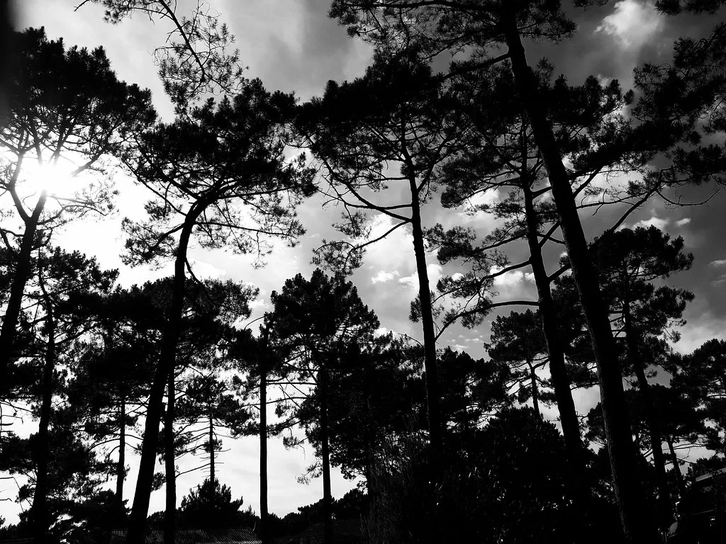 Record-breaking early spring in Britain signals biodiversity crisis