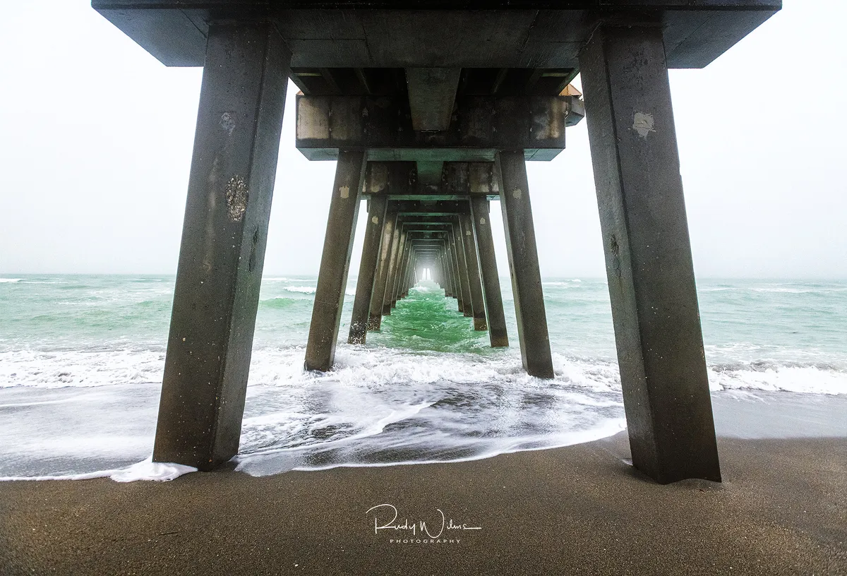 UK Cod and Scampi Downgraded in Sustainability Guide