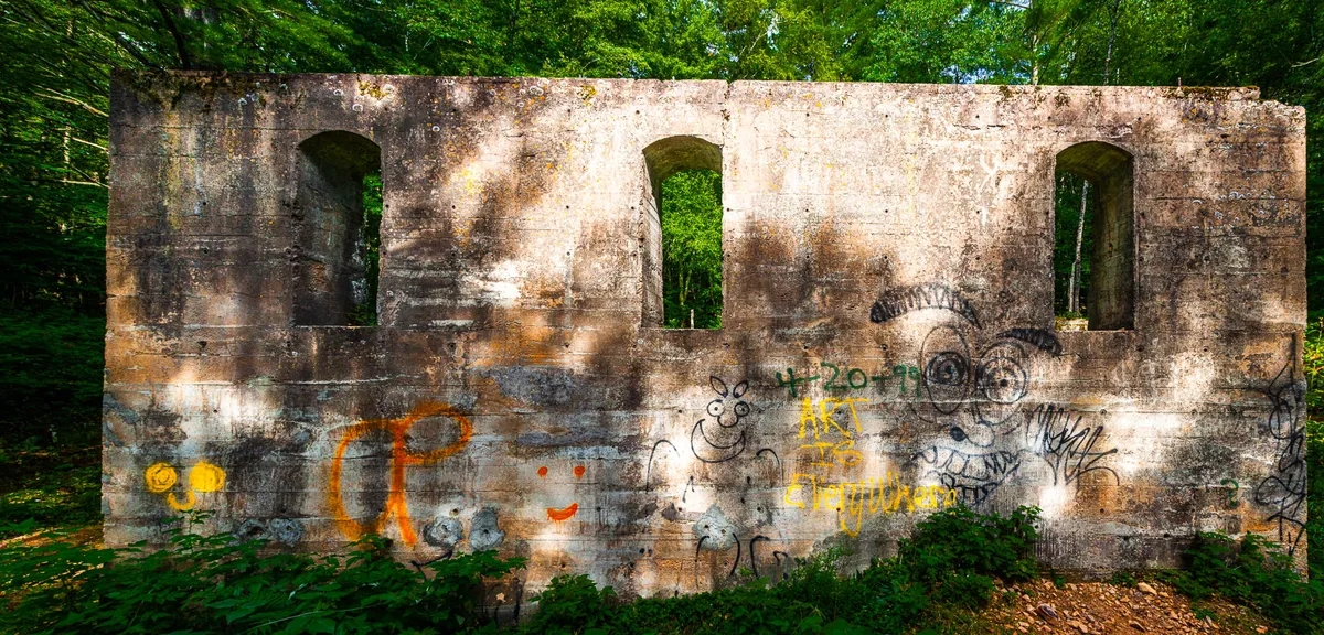 Konstnär fyller Karlskrona villas väggar med målningar som terapi