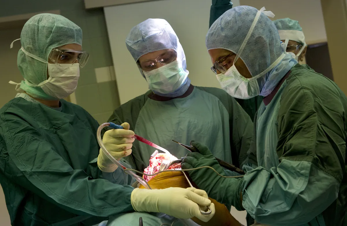 Örebro defender Olivia Crona rehabbing after second ACL tear