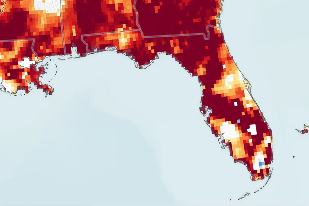 Florida faces widespread extreme drought, threatening water and ecosystems
