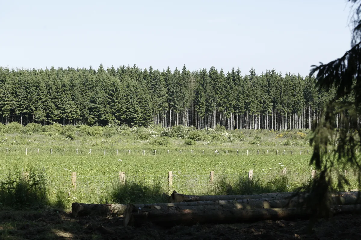 UK trial uses human urine fertilizer to grow first forest in Wales