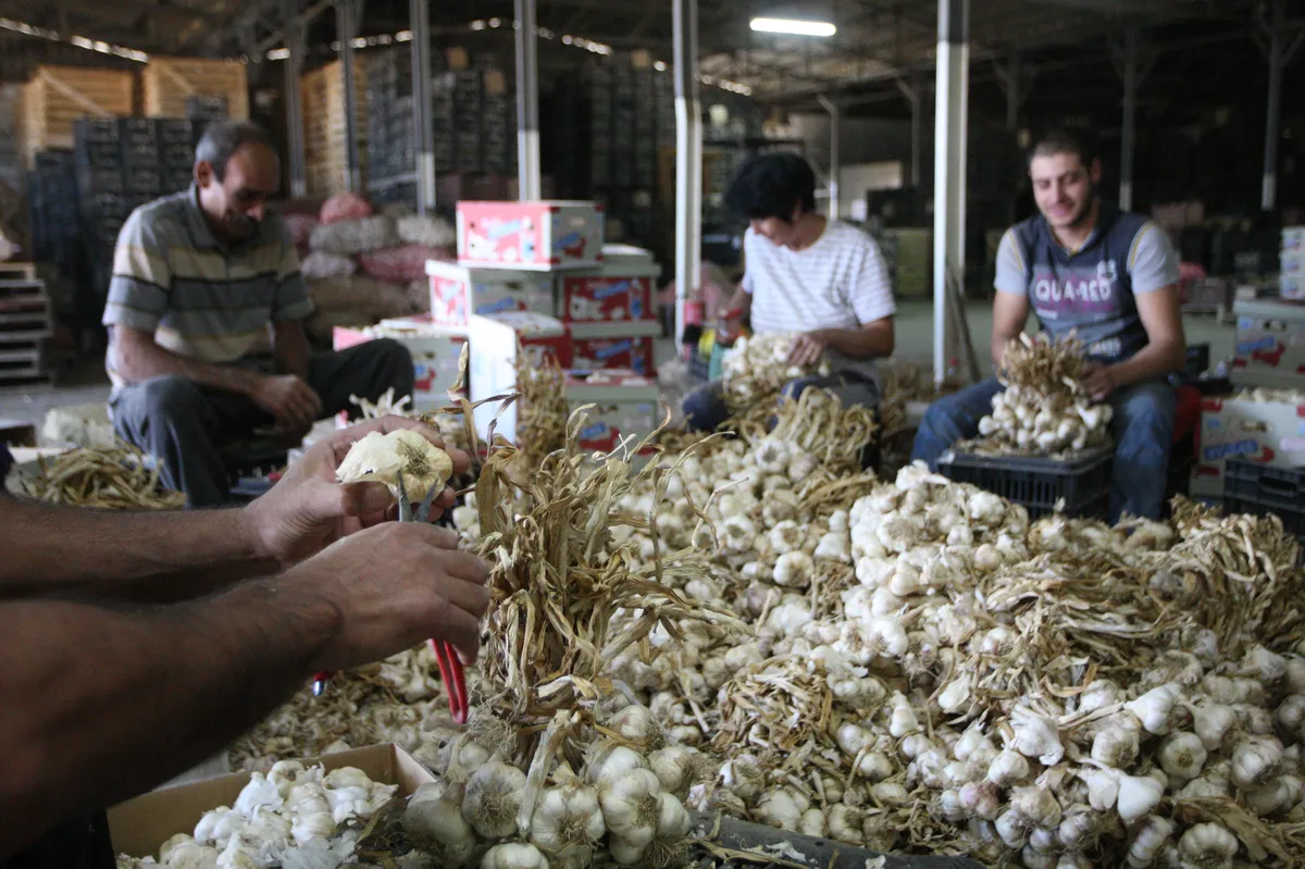 Grekiska försäkrings- och banksektorer visar stark tillväxt 2025