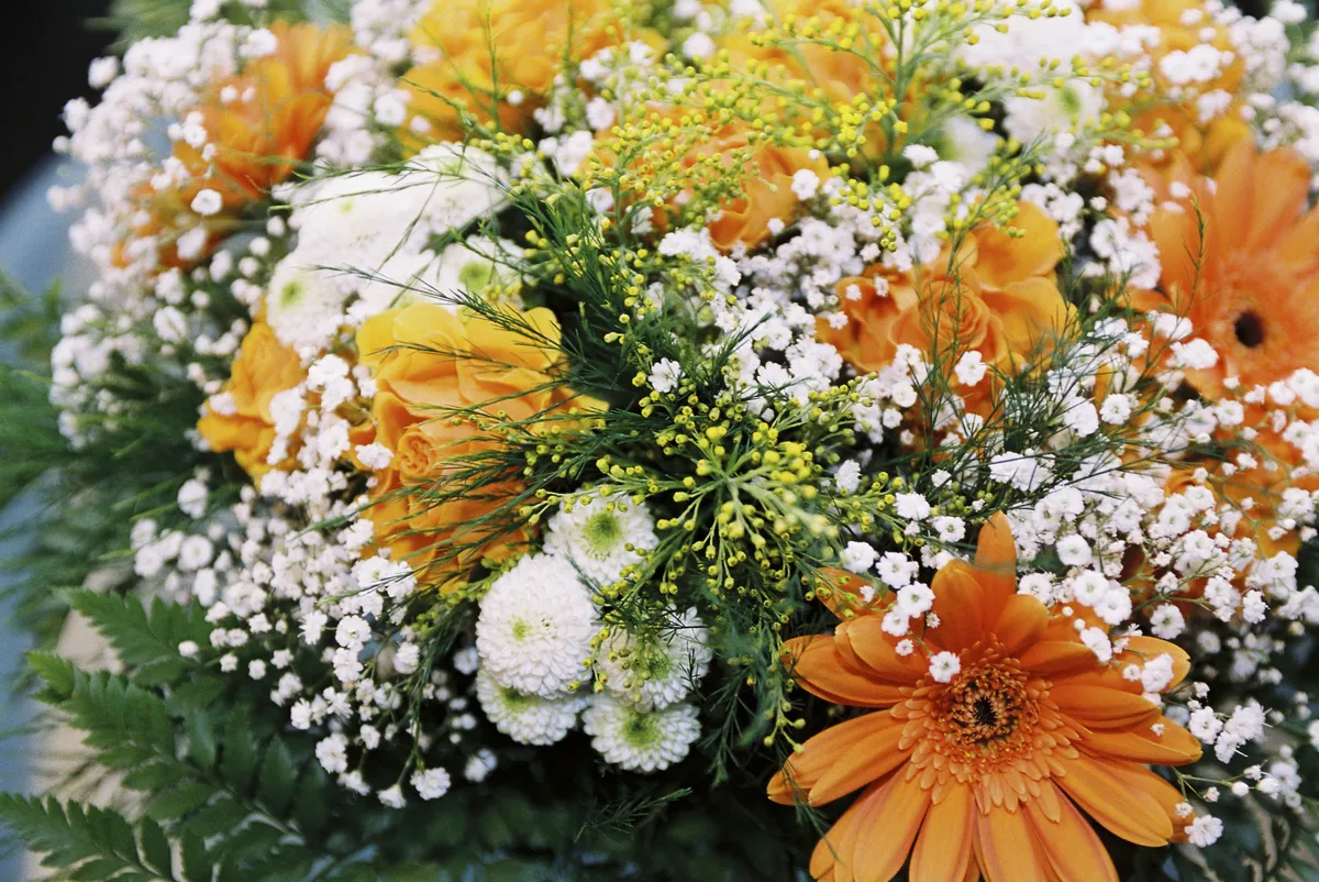 Kate Cassidy targeted by cruel flower hoax referencing late boyfriend Liam Payne