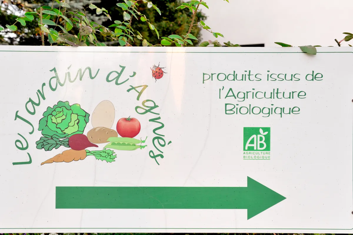 Ekobonde möter utmaningar från globala konflikter och stigande kostnader