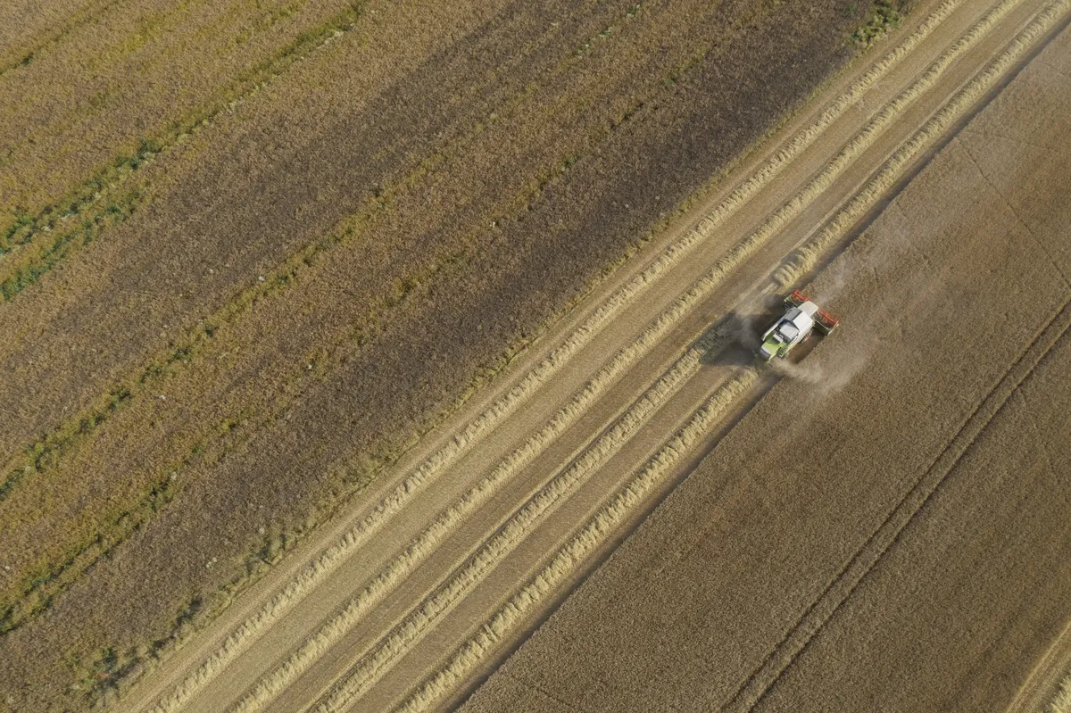 Report Challenges Sweden's Food Security Views, Shows Production Surplus