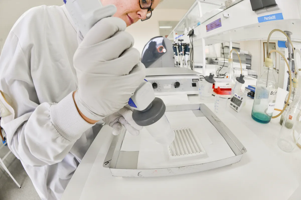 Studie: Köttkonsumtion kan halvera demensrisk för APOE4-bärare