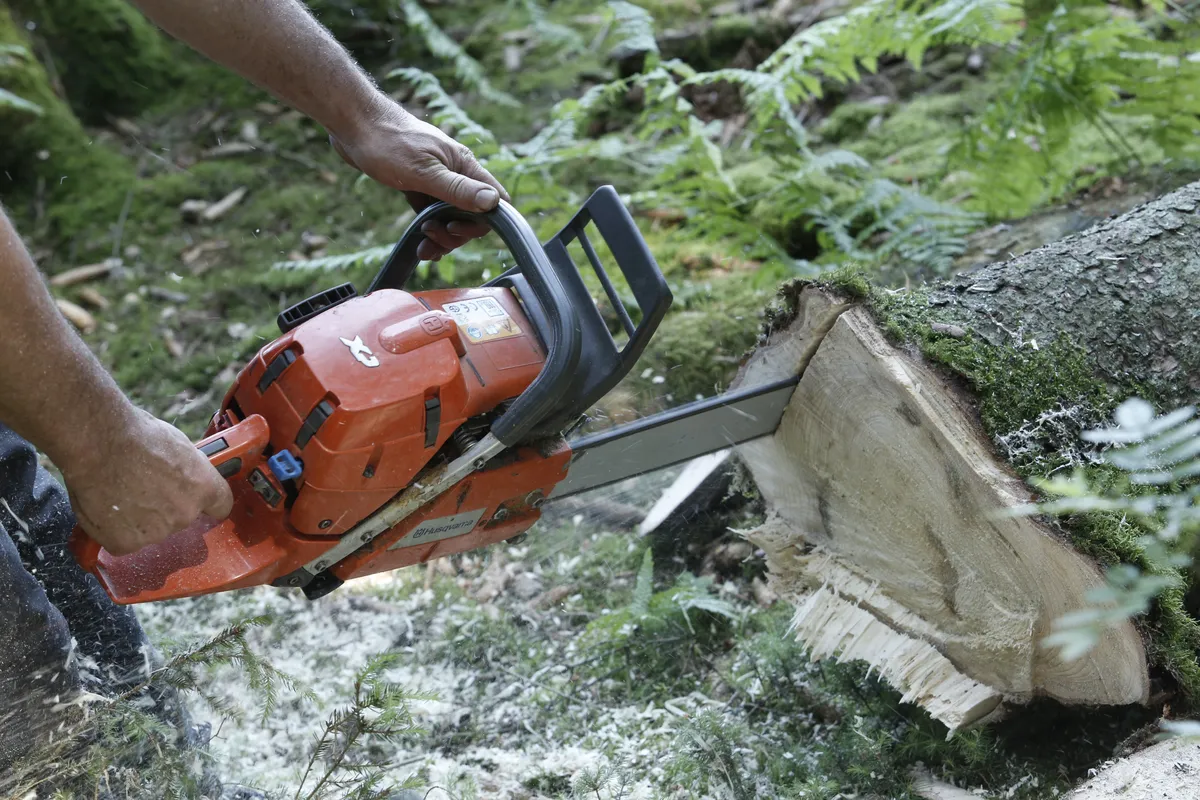 Vegetationsrensning pågår på två svenska järnvägssträckor för ökad säkerhet