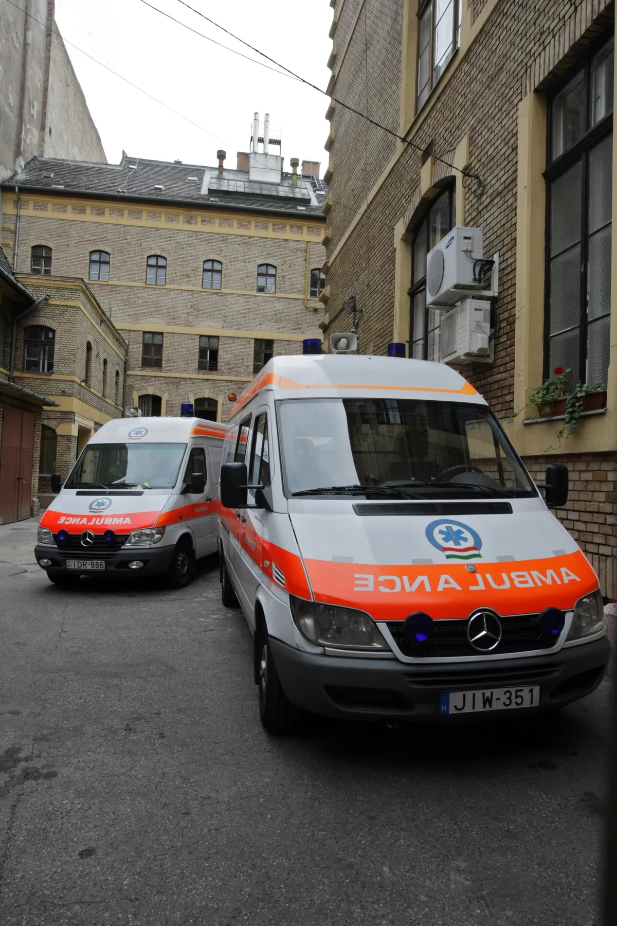 Rosalía insjuknade under konsert i Milano – inlagd på sjukhus