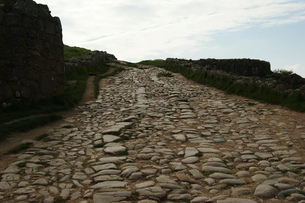 Sällsynt tidigmedeltida runring hittad i Lincolnshire av metalldetektorist