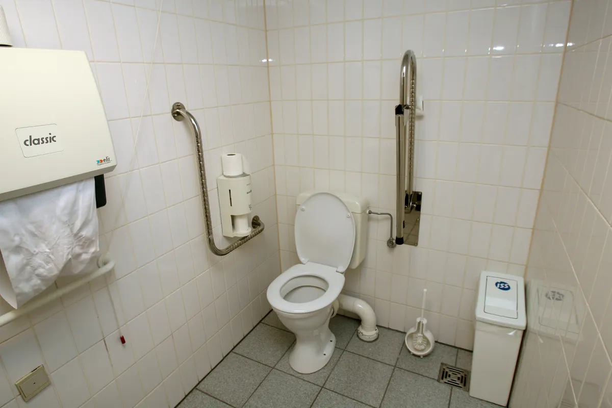 Sweden's crisis preparedness for disabled faces critical deficiencies