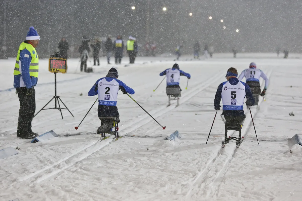 FIS-ordförande Eliasch möter kris när brittiskt stöd dras tillbaka