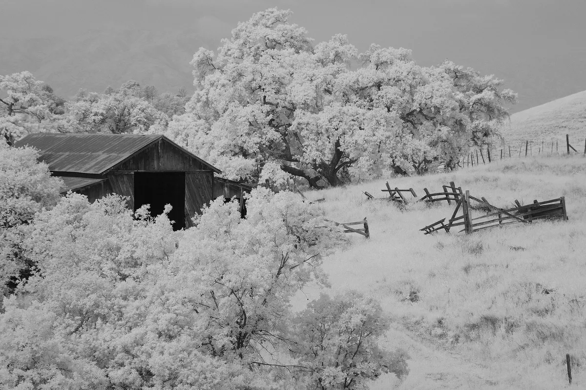 Landslide Strikes Hisingen Farm, Dragging Barn and Vehicles