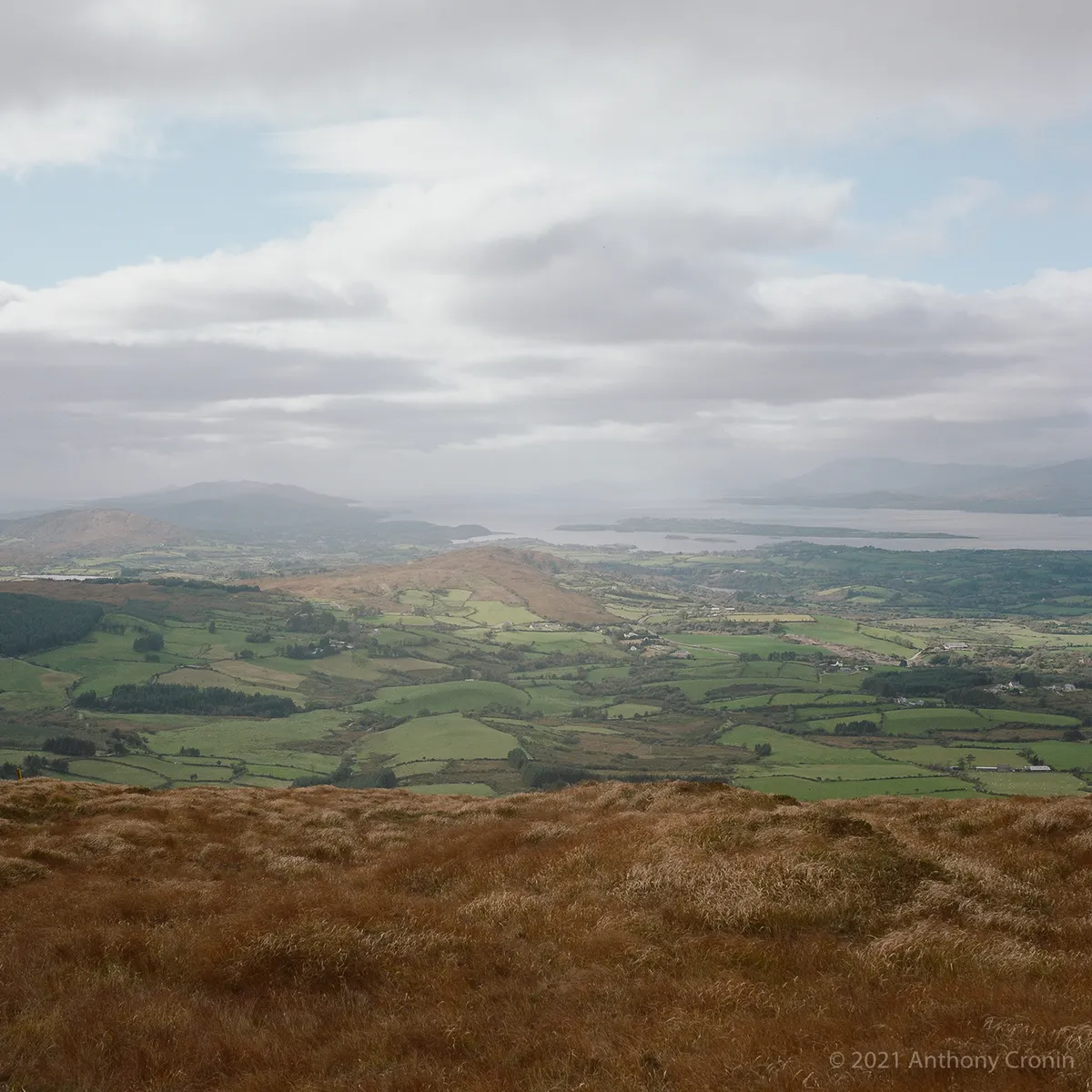 Sarah Ferguson's Disappearance Sparks Conflicting Reports on Whereabouts