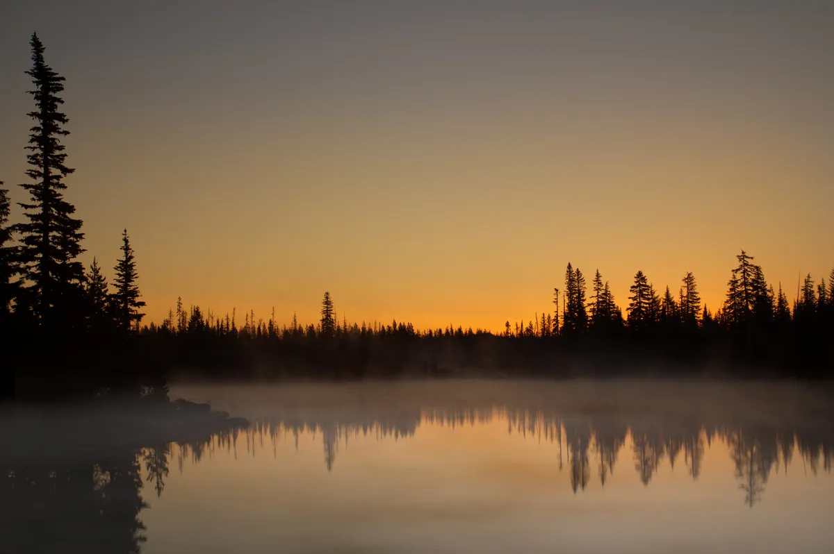 Adam Wilkie säger upp sig för ettårig simning för att hedra fadern