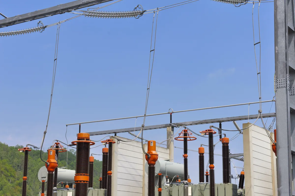 Finlands president Stubb stöder oppositionen efter klyfta om kärnvapenpolitik