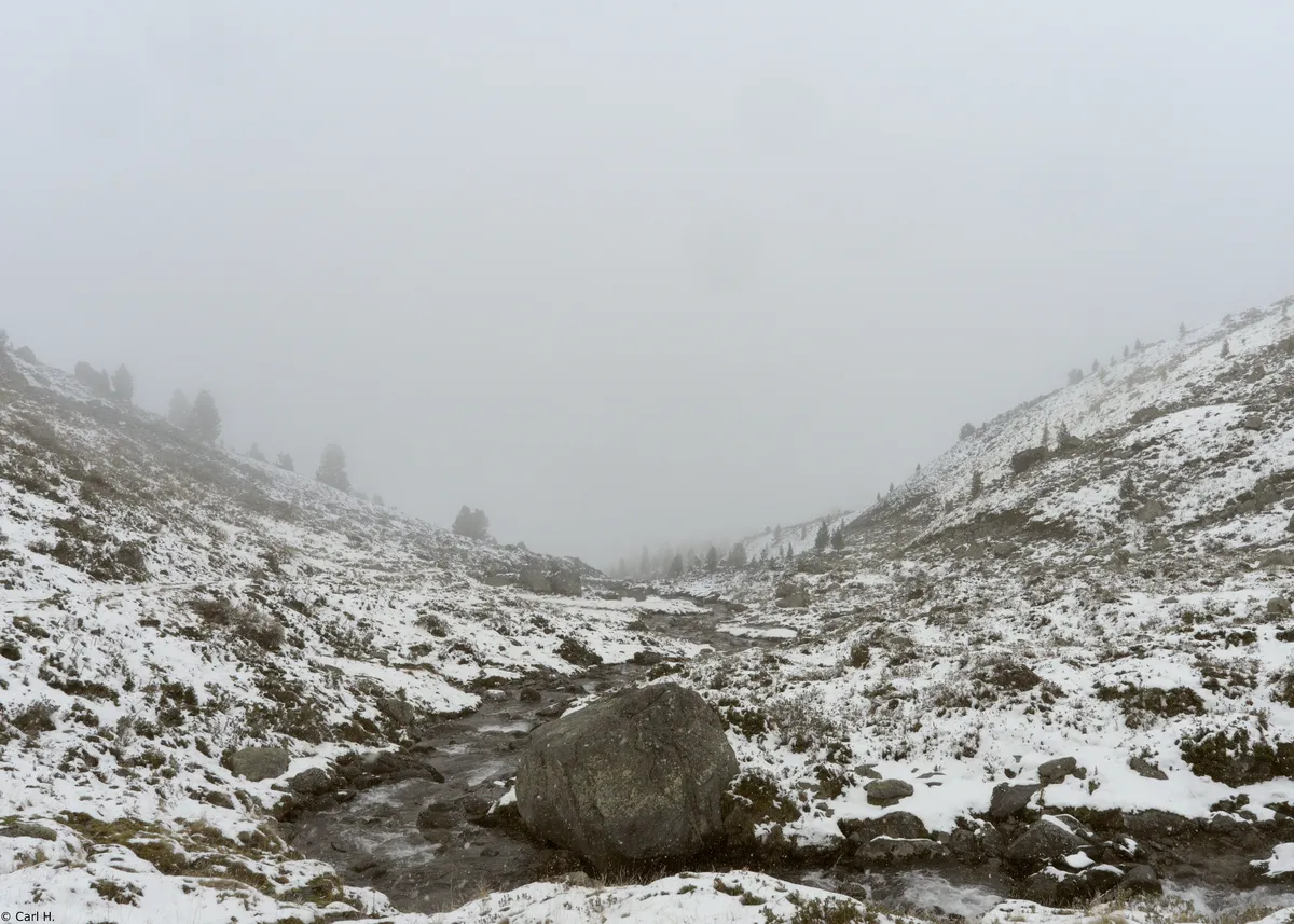 Private Jet Crashes in Maine Snowstorm, Killing All Six On Board