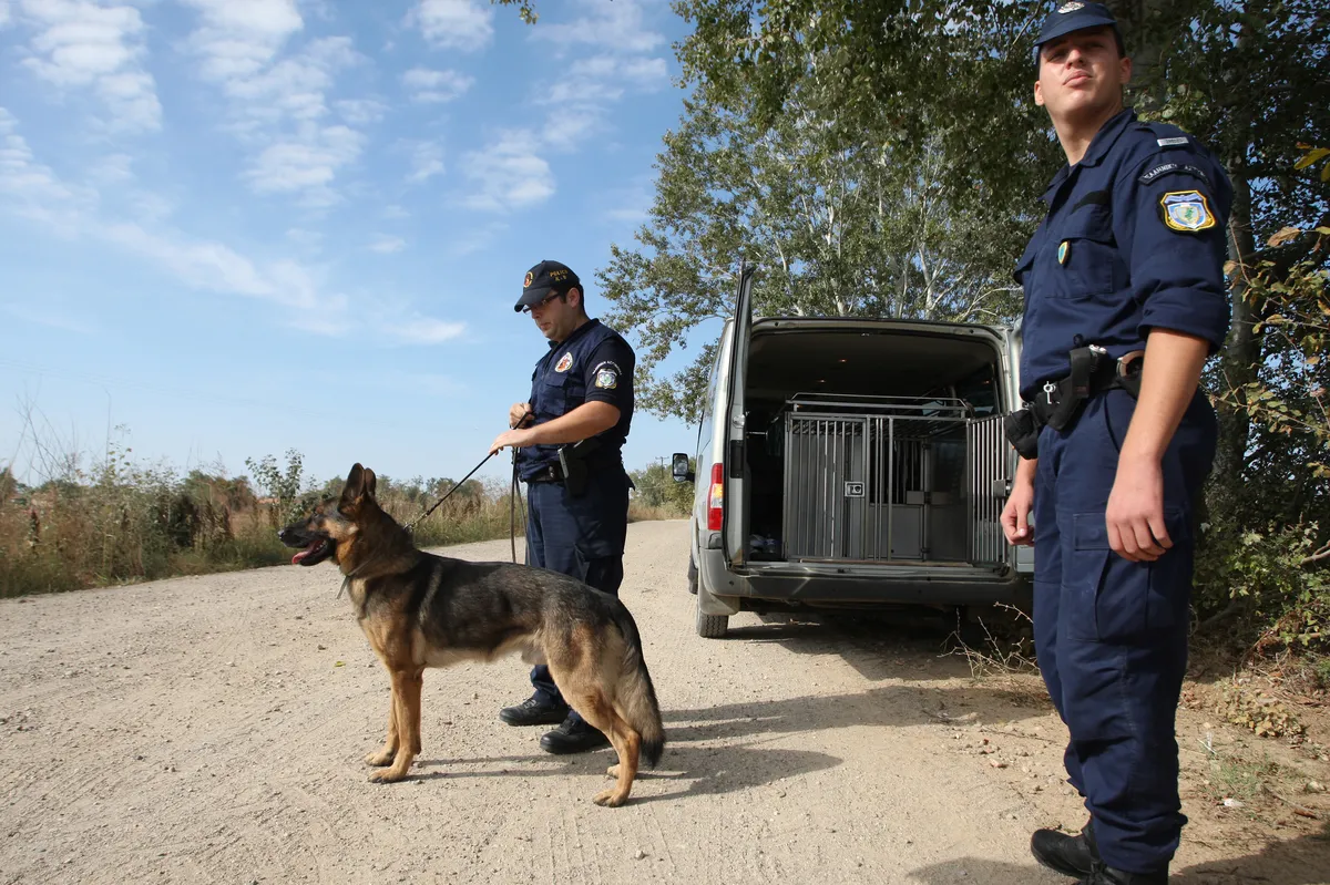 Två dödliga hundattacker i England dödar tonåring och spädbarn på dagar