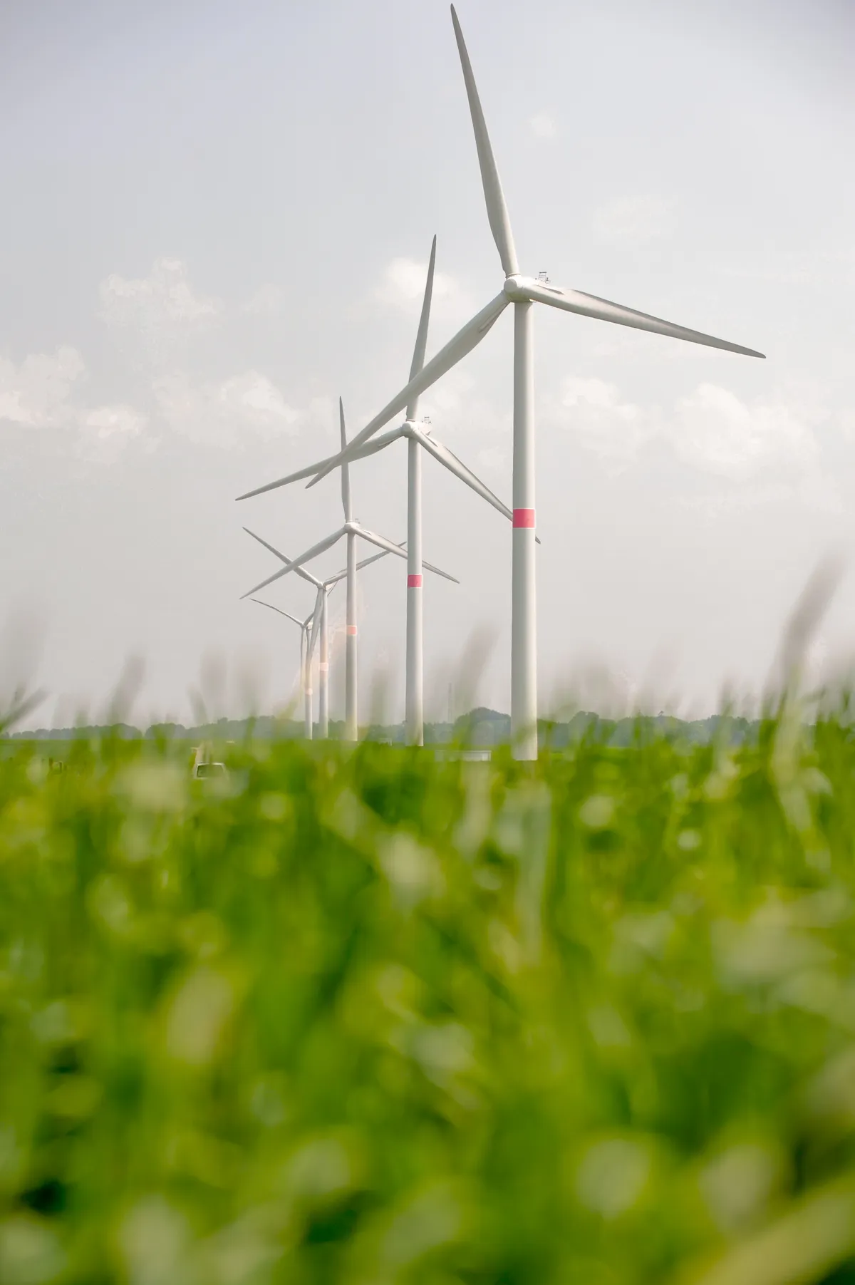 Svenskt vindkraftsförbund möter 700% höjning av nätavgift efter