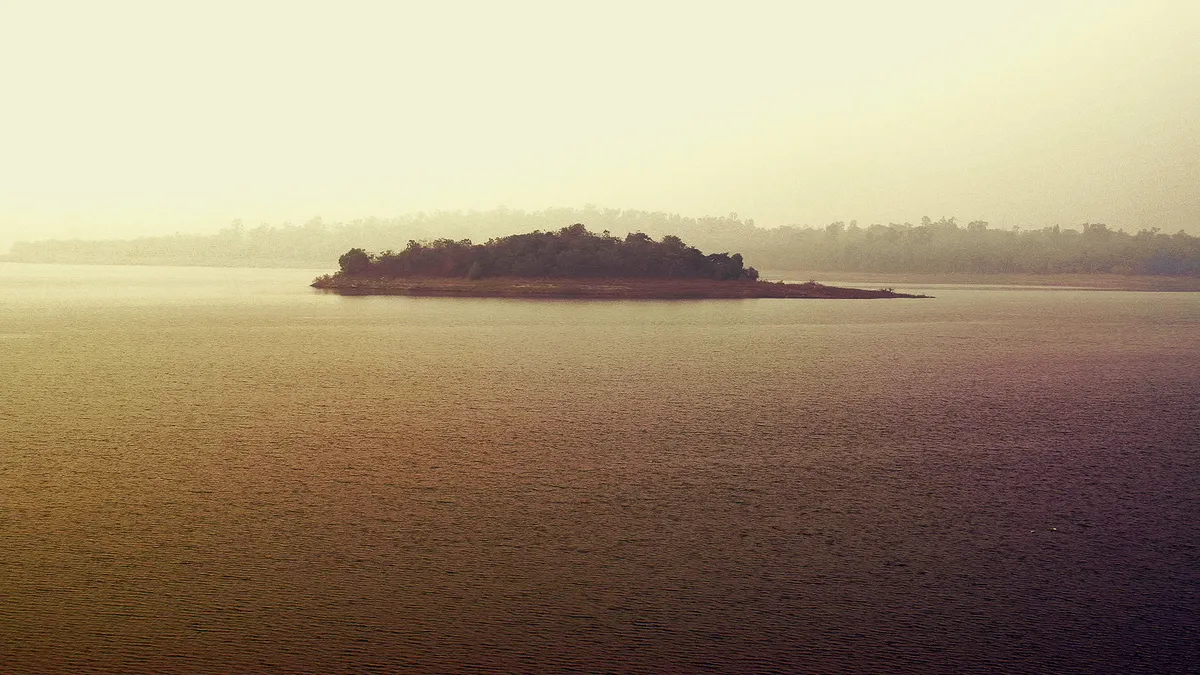 Nigel Farage's Chagos trip funded by crypto billionaire donor