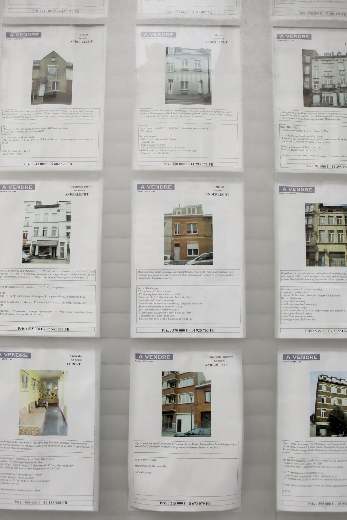 Chelsea-bor kallar bostadsområde 'råttstaden' efter 11-årig invasion