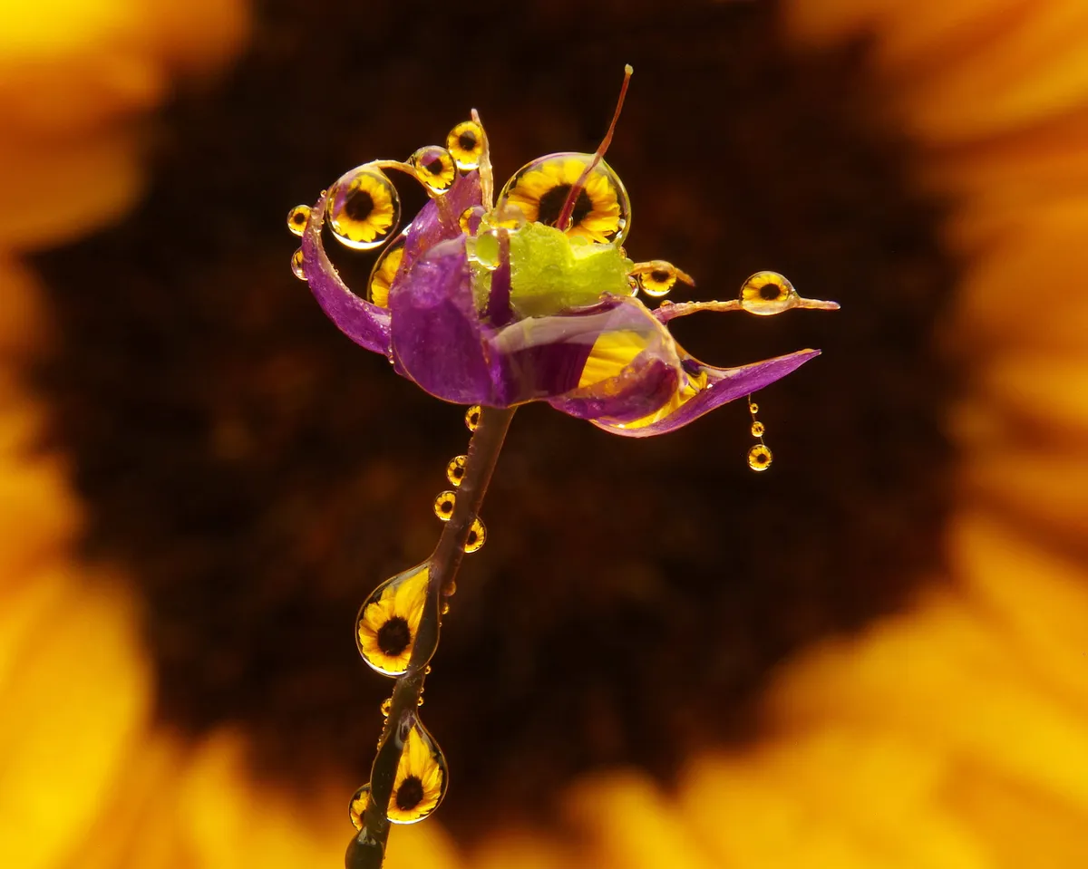 Welsh Water möter påföljd på 44,7 miljoner pund för avloppssystemfel