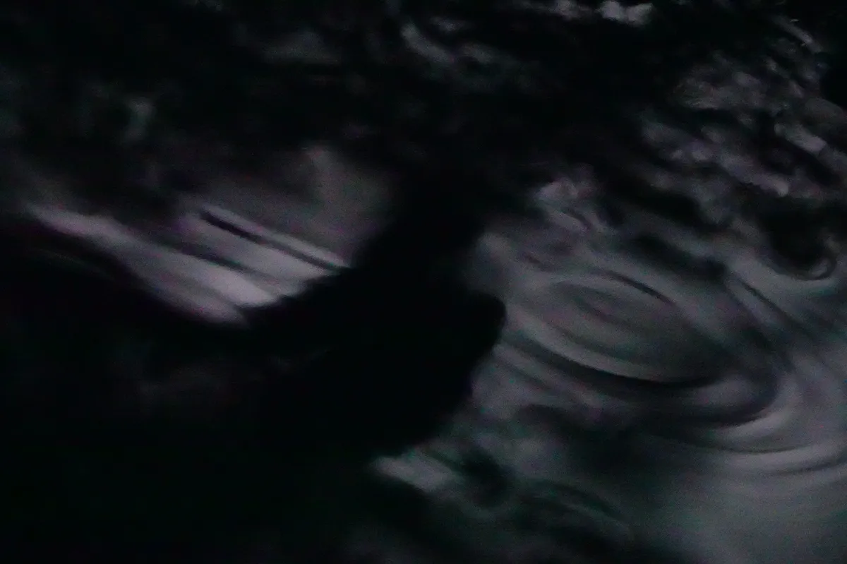 February 2026 was fifth-warmest on record with extreme flooding in Europe