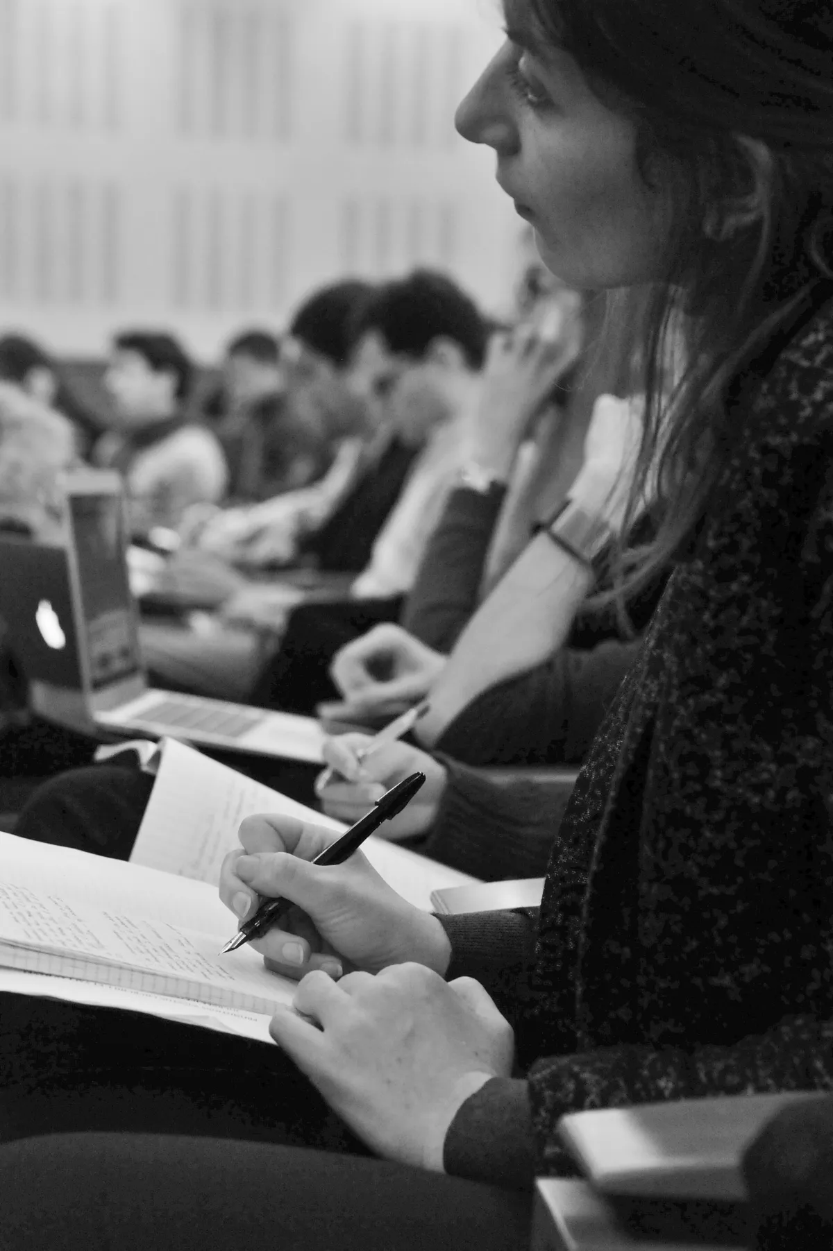 Arctic Universities Launch Cross-Border Collaboration