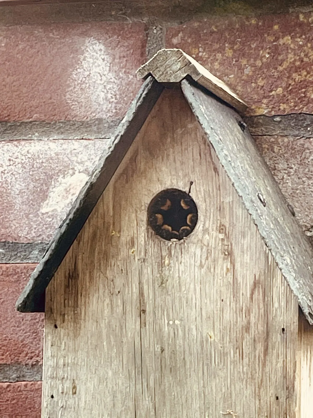 Boende bygger fågelmatare som liknar fartkamera för att minska fortkörning