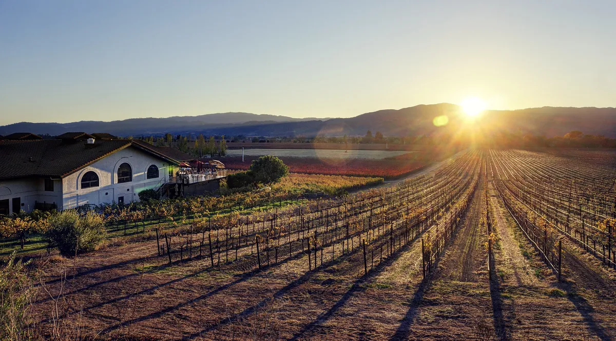 Vinmässa i Luleå lockade färre besökare, erbjöd flaskor från 1982 till 2025