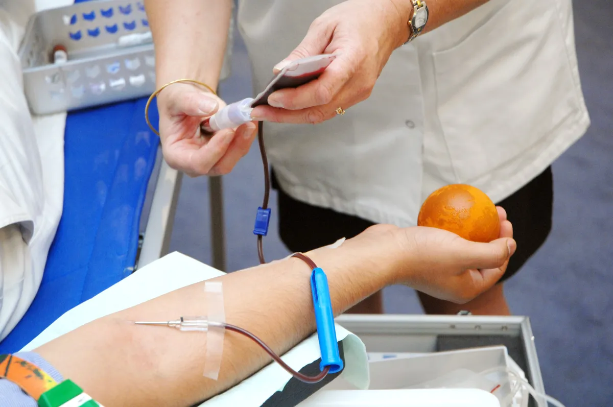 Karlskrona Blood Center Named Workplace of the Year 2025