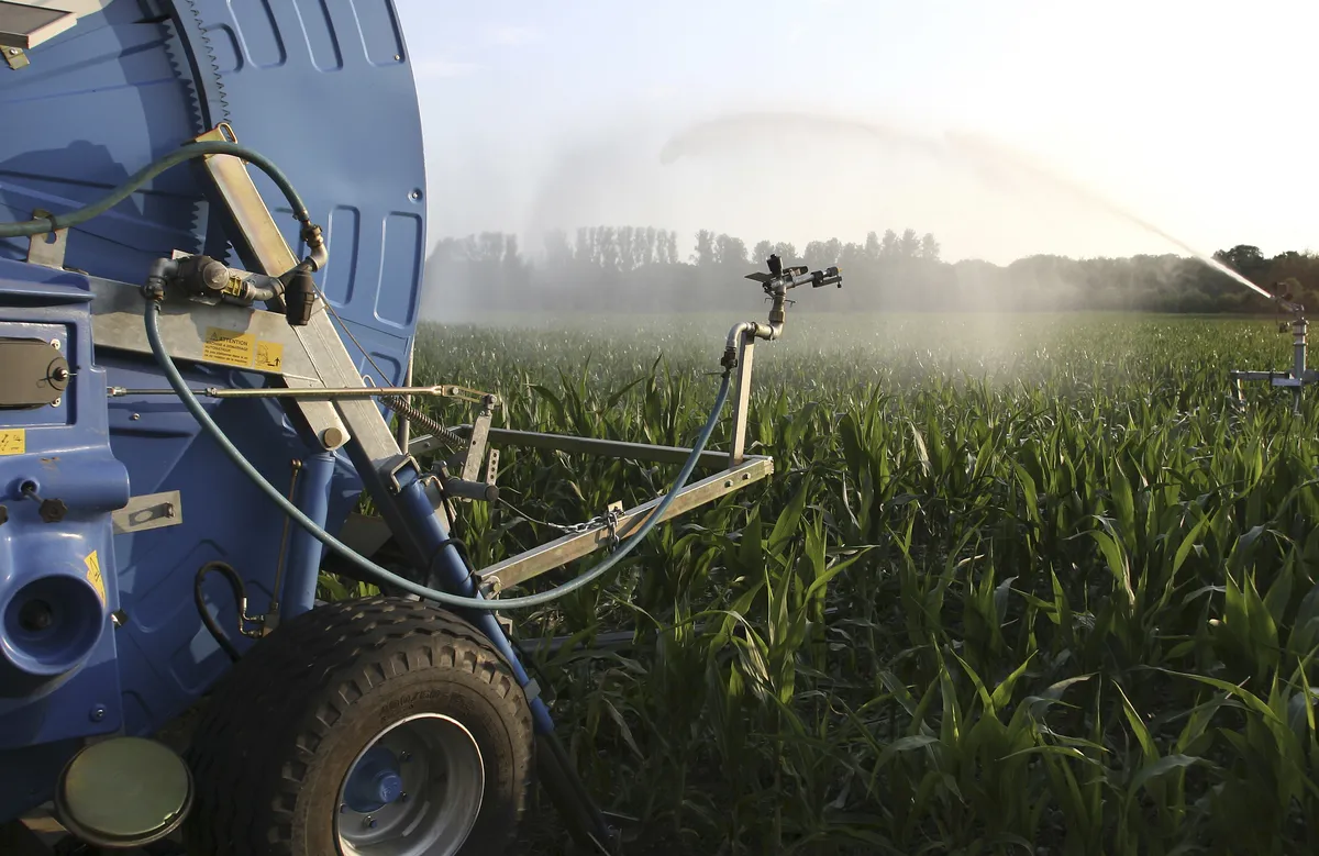 Sweden's irrigation needs may double by 2100 due to climate change