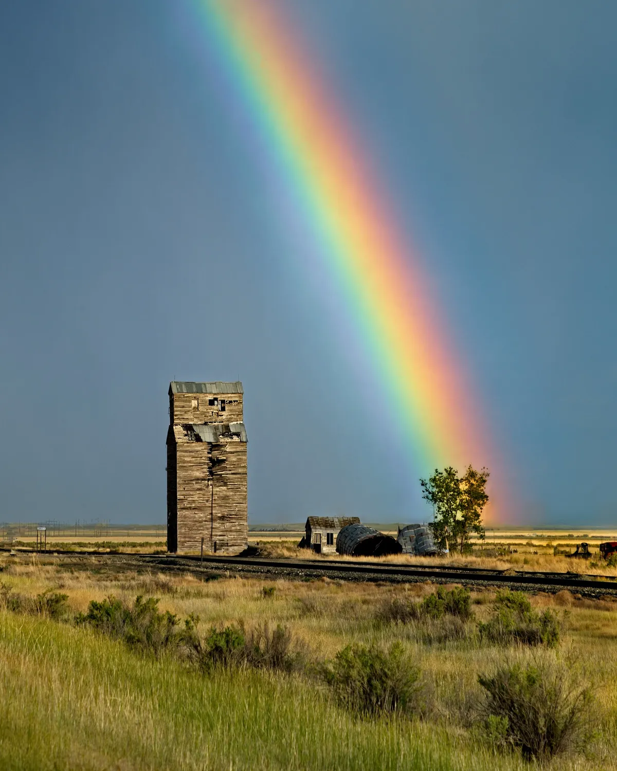Blobbyland theme park rose and fell in 1990s, now abandoned ghost-town