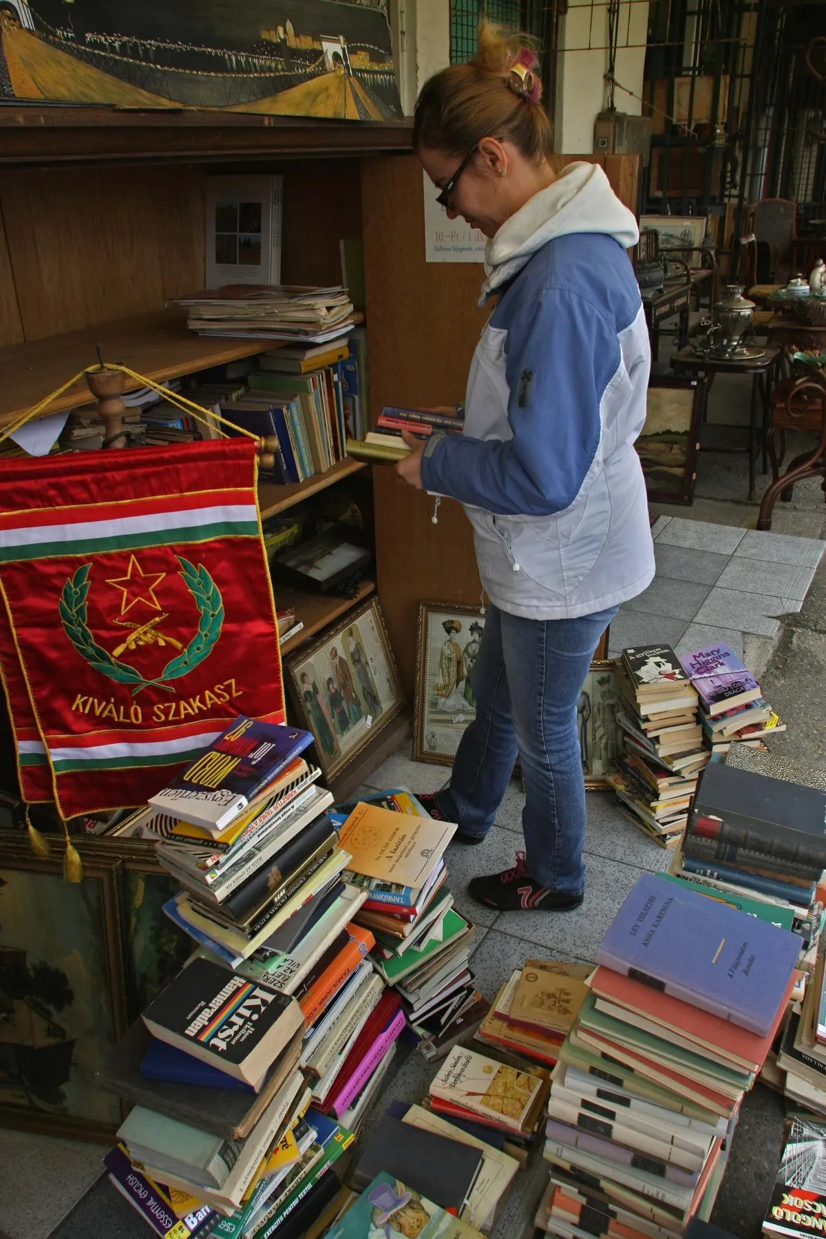 Historical Publications Document 19th Century Vega Arctic Expedition