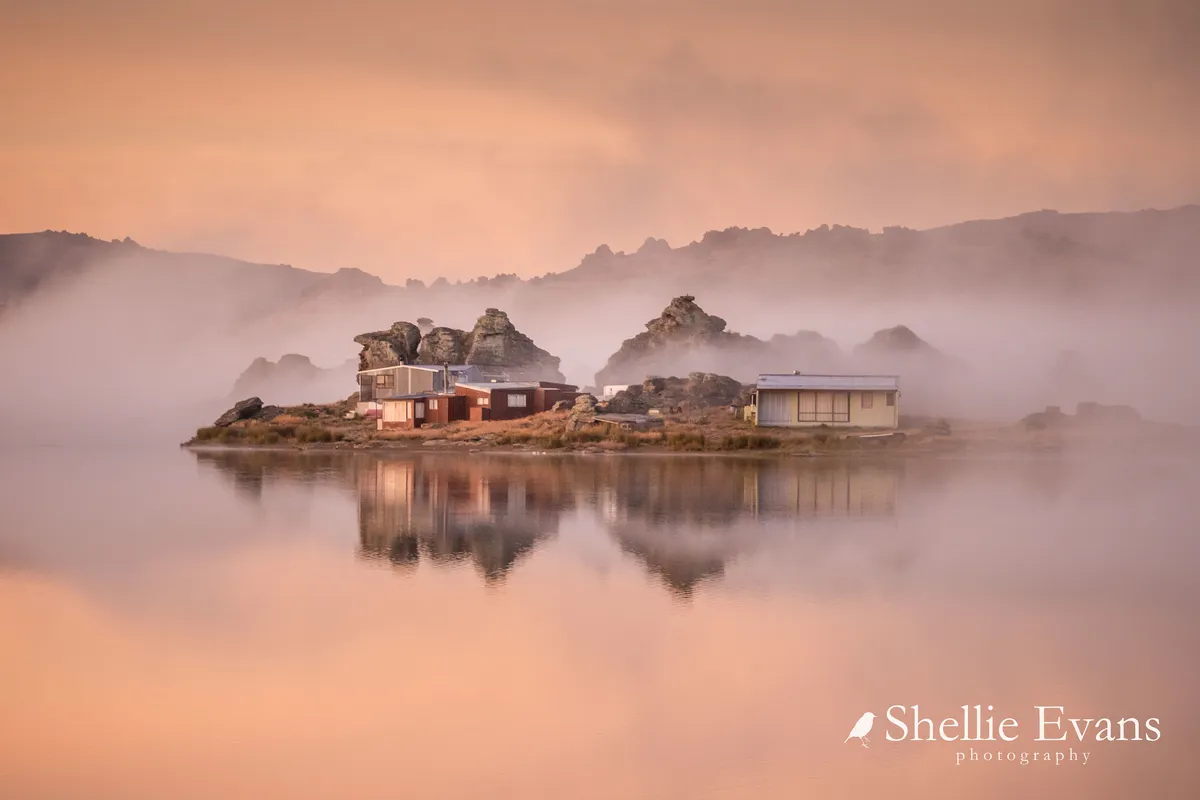 Sportfiskarna uses ecological Christmas trees for fish habitats