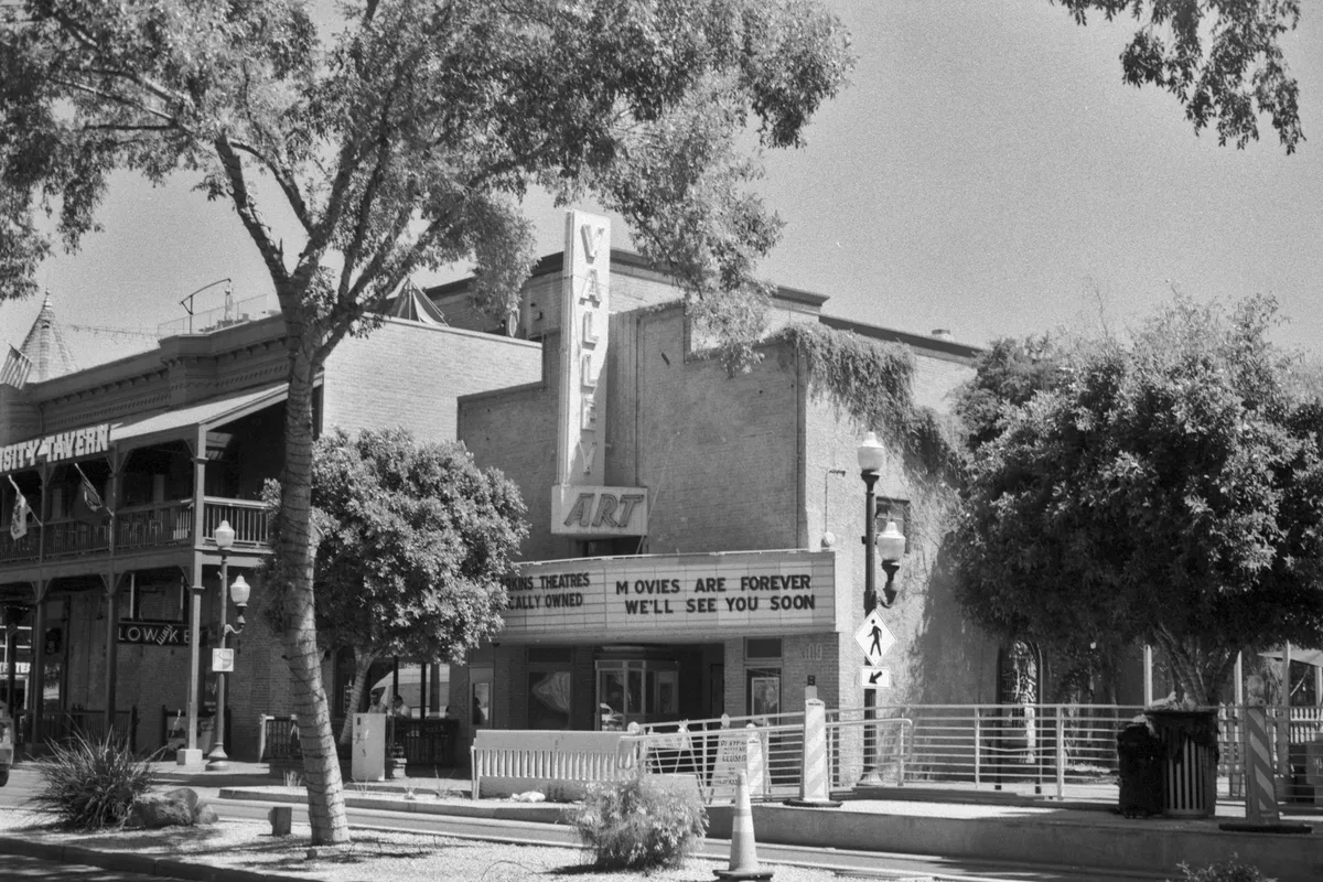 Conflicting Reports Emerge on Emerald Fennell's Role in Basic Instinct Reboot