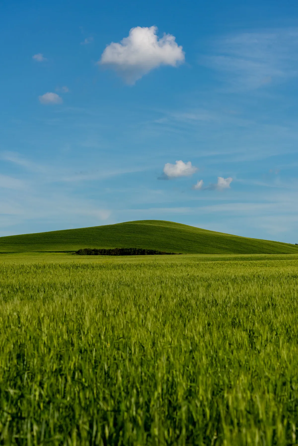 Halle Bailey and Regé-Jean Page star in new rom-com 'You, Me and Tuscany'