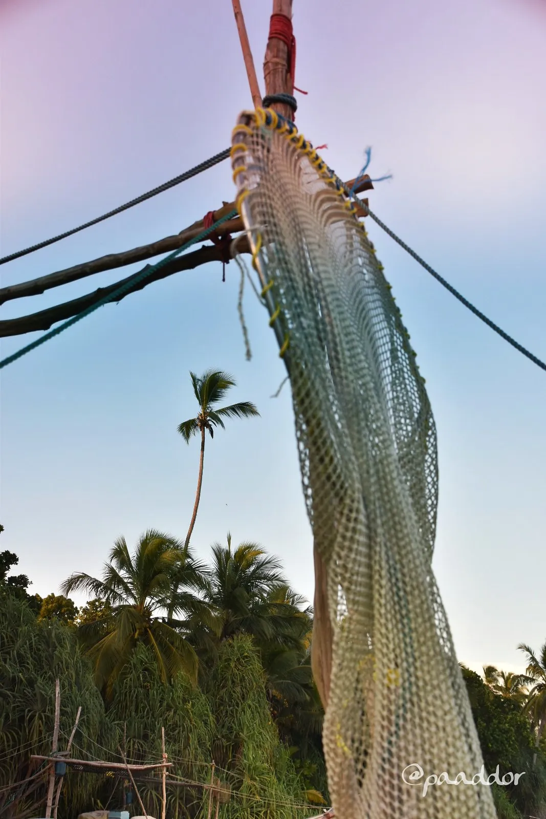 Norway seeks public tips on illegal fishing as pink salmon threaten wild stocks