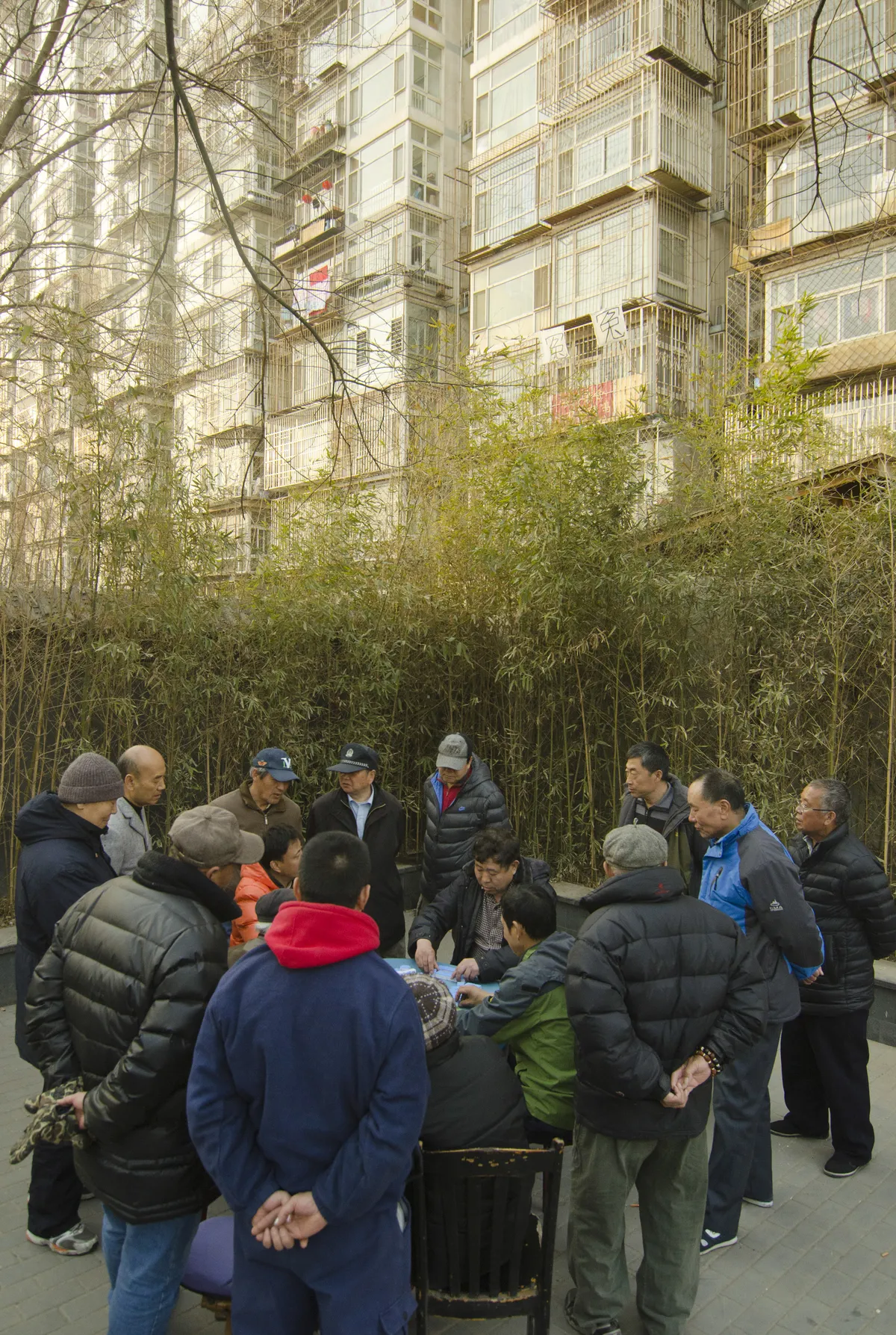 Stiftelser och forskare lanserar initiativ för att stärka äldres rörlighet