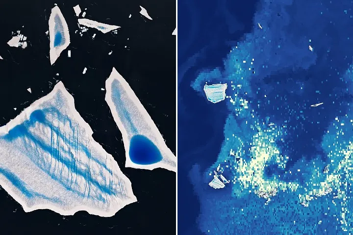 Iceberg breakup fuels phytoplankton bloom in South Atlantic