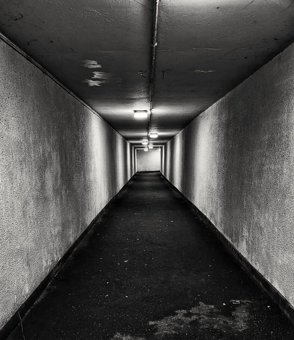 Approved Ships Enable Fehmarn Belt Tunnel Lowering to Start in Spring