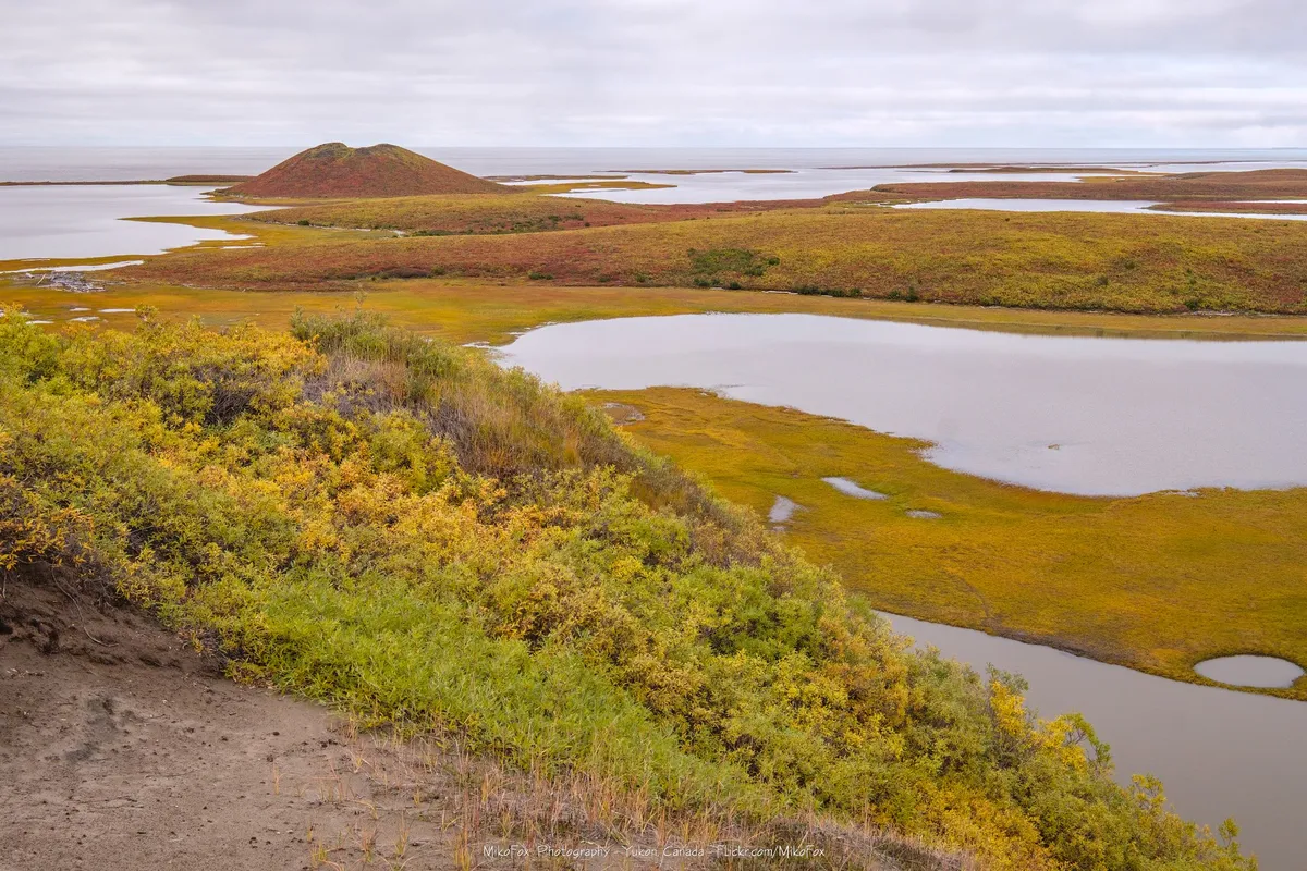 Earth Hour sees global landmarks go dark in symbolic climate gesture