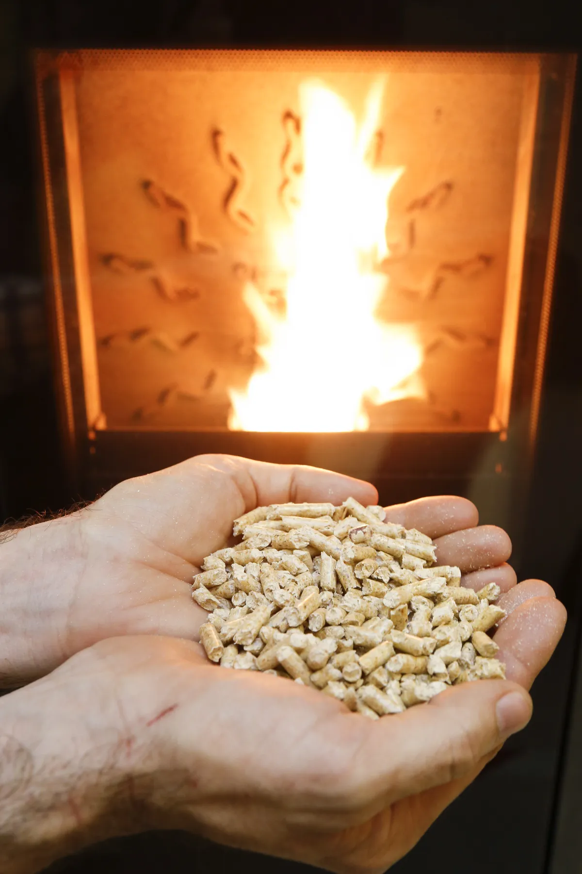 Drax cuts Canadian pellet use amid earnings rise and scrutiny