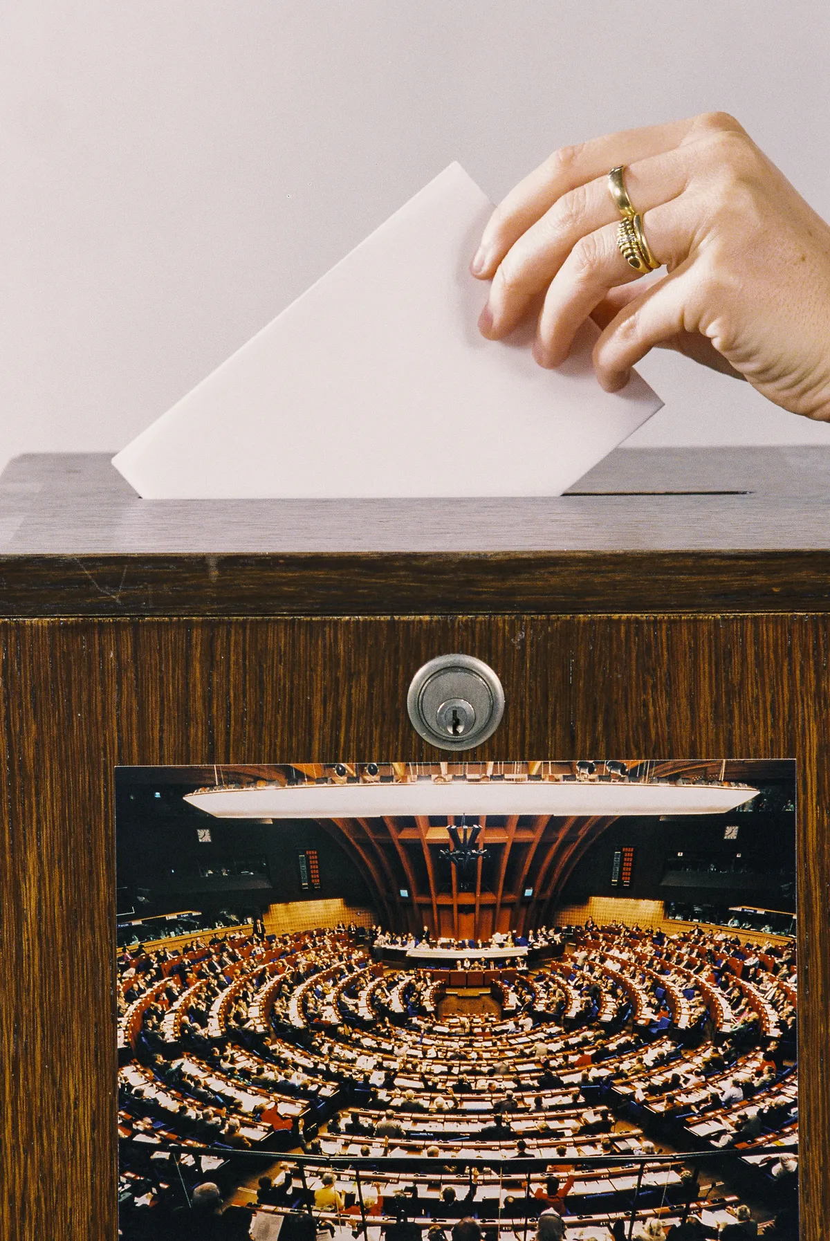 Konservativa föreslår förbud mot valmaterial på främmande språk